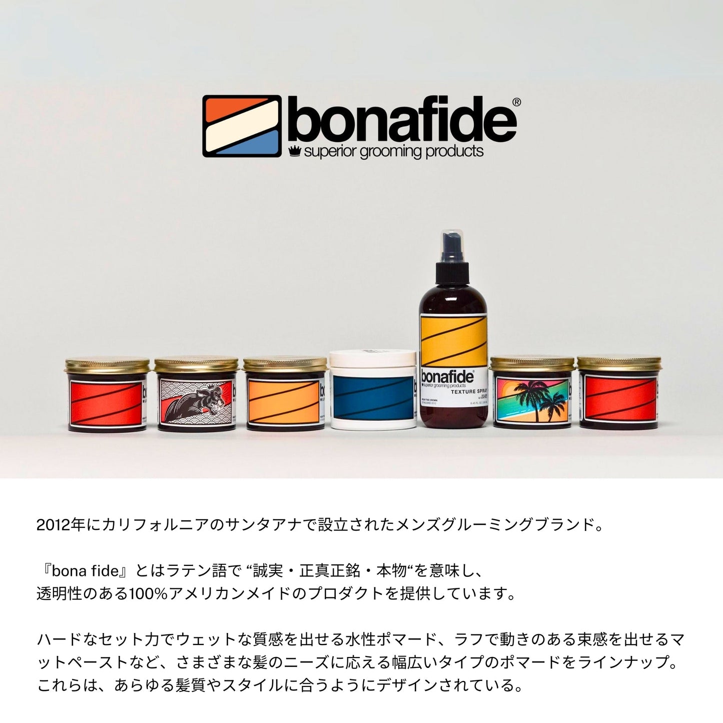 ザ エンドレスサマー
